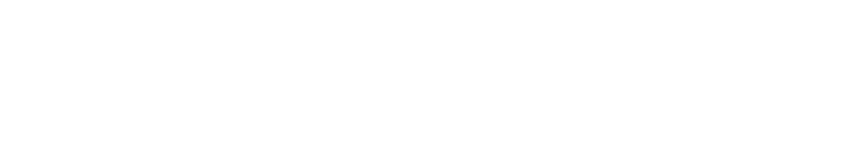 The Leona Group